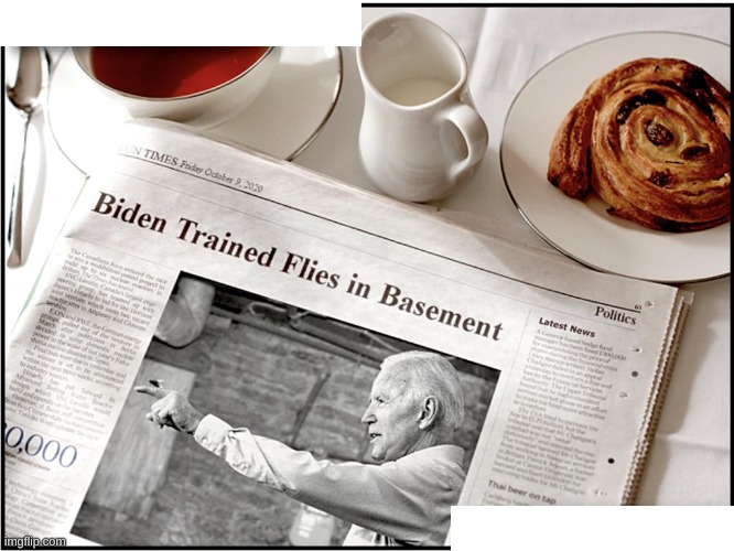 News | image tagged in biden flies,biden | made w/ Imgflip meme maker