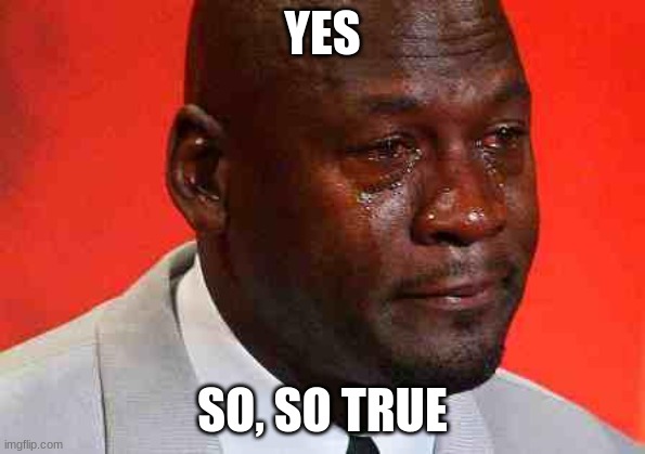 crying michael jordan | YES SO, SO TRUE | image tagged in crying michael jordan | made w/ Imgflip meme maker