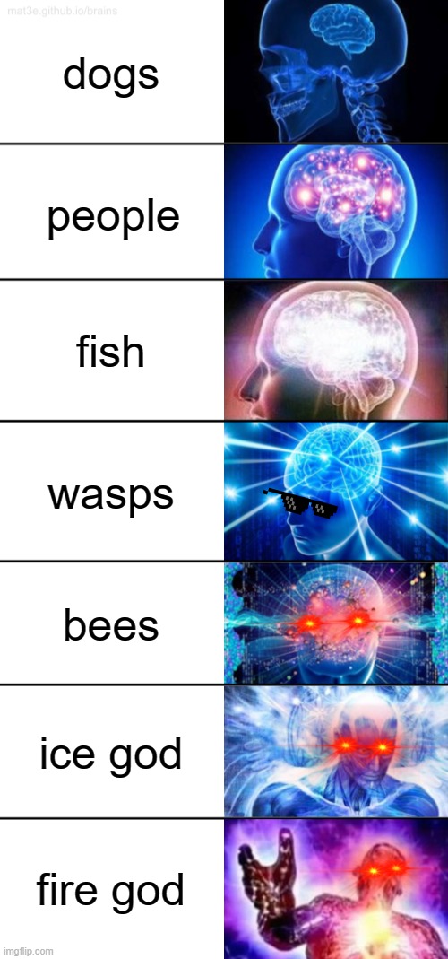 growing brain | dogs; people; fish; wasps; bees; ice god; fire god | image tagged in 7-tier expanding brain | made w/ Imgflip meme maker