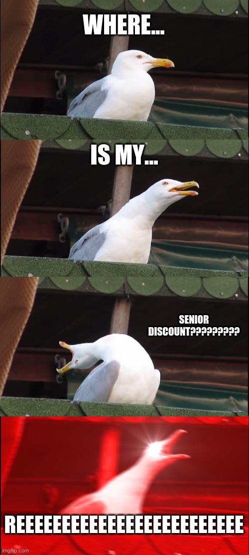 Inhaling Seagull Meme | WHERE... IS MY... SENIOR DISCOUNT????????? REEEEEEEEEEEEEEEEEEEEEEEEE | image tagged in memes,inhaling seagull,reeeeeeeeeeee | made w/ Imgflip meme maker