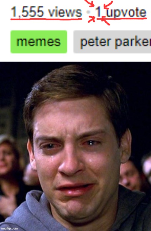 Pain lvl. 100 | image tagged in crying peter parker | made w/ Imgflip meme maker
