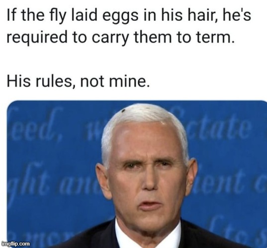 "His rules, not mine" | image tagged in fly,mike pence,mike pence vp,repost,pro-choice,abortion | made w/ Imgflip meme maker