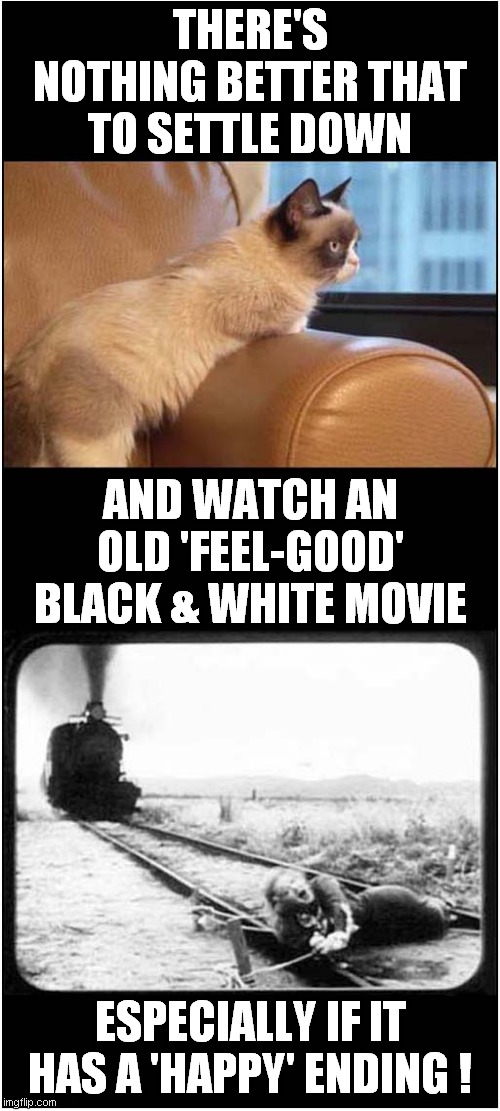 Grumpys Movie Choice | THERE'S NOTHING BETTER THAT TO SETTLE DOWN; AND WATCH AN OLD 'FEEL-GOOD' BLACK & WHITE MOVIE; ESPECIALLY IF IT HAS A 'HAPPY' ENDING ! | image tagged in grumpy cat,classic movies | made w/ Imgflip meme maker