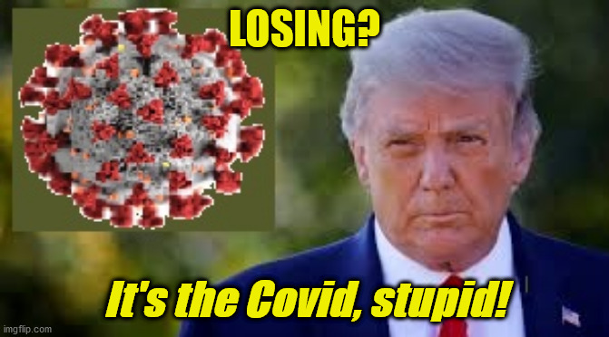 It's the Covid, Stupid! | LOSING? It's the Covid, stupid! | image tagged in covid vs trump | made w/ Imgflip meme maker