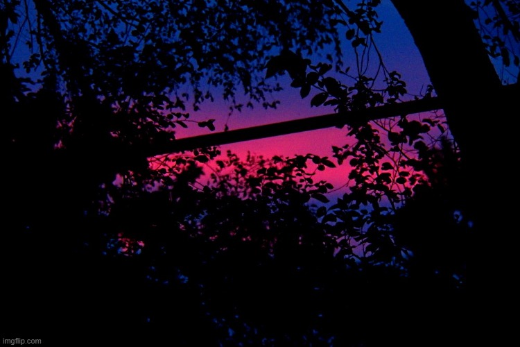 sunset in my backyard | image tagged in beautiful sunset,backyard | made w/ Imgflip meme maker