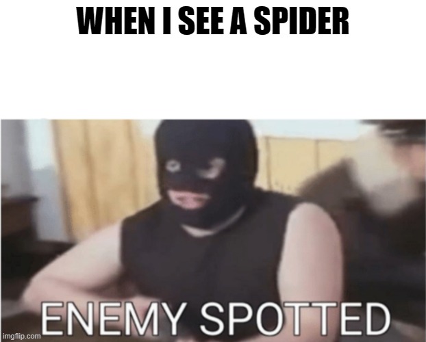 ENEMY SPOTTED | WHEN I SEE A SPIDER | image tagged in enemy spotted | made w/ Imgflip meme maker