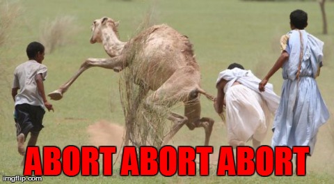 ABORT ABORT ABORT | image tagged in dromedary | made w/ Imgflip meme maker
