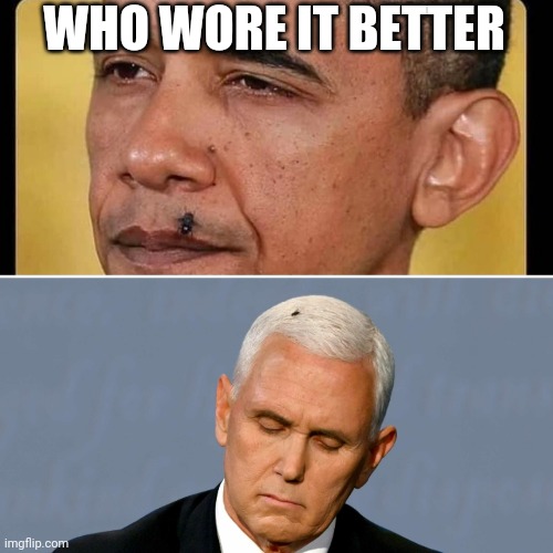 Who wore the fly better | WHO WORE IT BETTER | image tagged in fly,embarrassing | made w/ Imgflip meme maker
