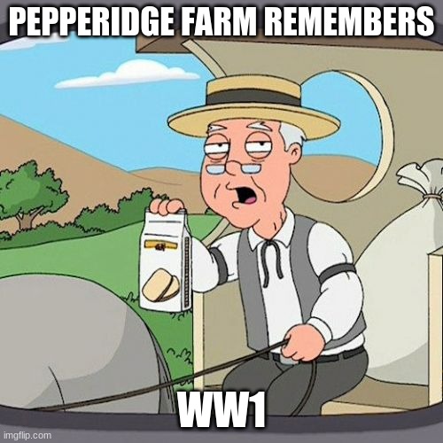 Pepperidge Farm Remembers | PEPPERIDGE FARM REMEMBERS; WW1 | image tagged in memes,pepperidge farm remembers | made w/ Imgflip meme maker
