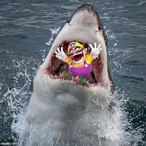 wario gets eaten by a shark and dies | image tagged in memes,funny,shark,wario | made w/ Imgflip meme maker