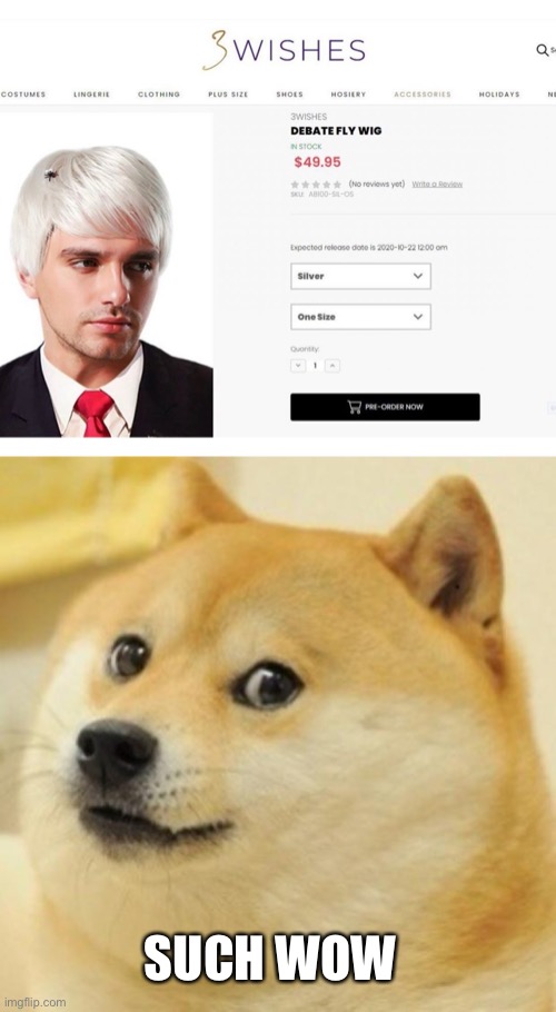 I just wanna fly.... tell me what you want, tell me what you want | SUCH WOW | image tagged in wow doge,memes | made w/ Imgflip meme maker