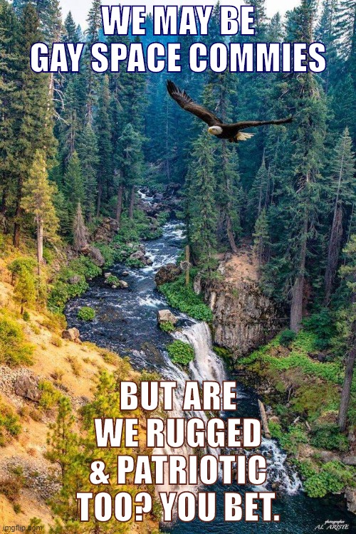 [The intersection of America, gay space communism, and you] | WE MAY BE GAY SPACE COMMIES; BUT ARE WE RUGGED & PATRIOTIC TOO? YOU BET. | image tagged in patriotic eagle wilderness,government,gay,space,communism,patriotic eagle | made w/ Imgflip meme maker
