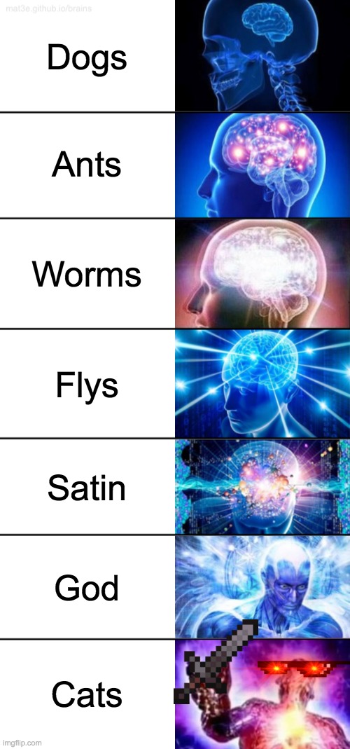 7-Tier Expanding Brain | Dogs; Ants; Worms; Flys; Satin; God; Cats | image tagged in 7-tier expanding brain | made w/ Imgflip meme maker