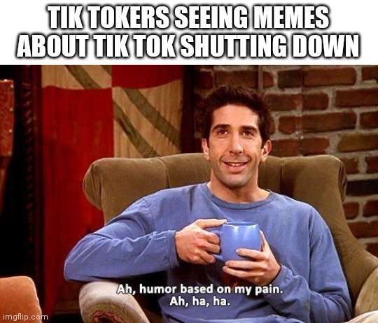 Ross Humor based on my pain | TIK TOKERS SEEING MEMES ABOUT TIK TOK SHUTTING DOWN | image tagged in ross humor based on my pain | made w/ Imgflip meme maker