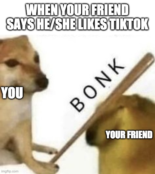 bonk | WHEN YOUR FRIEND SAYS HE/SHE LIKES TIKTOK; YOU; YOUR FRIEND | image tagged in bonk | made w/ Imgflip meme maker