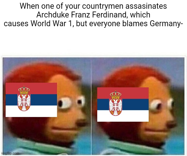 Monkey Puppet Meme | When one of your countrymen assasinates Archduke Franz Ferdinand, which causes World War 1, but everyone blames Germany- | image tagged in memes,monkey puppet,world war 1 | made w/ Imgflip meme maker