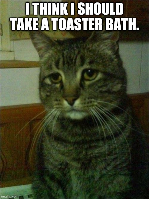 Depressed Cat Meme | I THINK I SHOULD TAKE A TOASTER BATH. | image tagged in memes,depressed cat | made w/ Imgflip meme maker