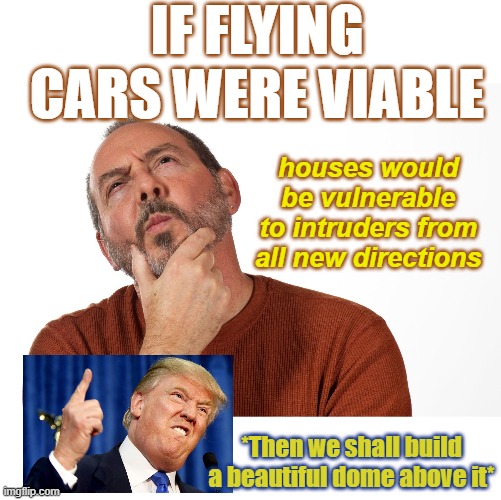 Flying Cars and its effetcs | IF FLYING CARS WERE VIABLE; houses would be vulnerable to intruders from all new directions; *Then we shall build a beautiful dome above it* | image tagged in thinking puzzled man,flying car,what if,think about it,the future world if,modern problems require modern solutions | made w/ Imgflip meme maker
