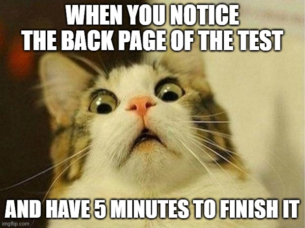 Scared Cat | WHEN YOU NOTICE THE BACK PAGE OF THE TEST; AND HAVE 5 MINUTES TO FINISH IT | image tagged in memes,scared cat | made w/ Imgflip meme maker