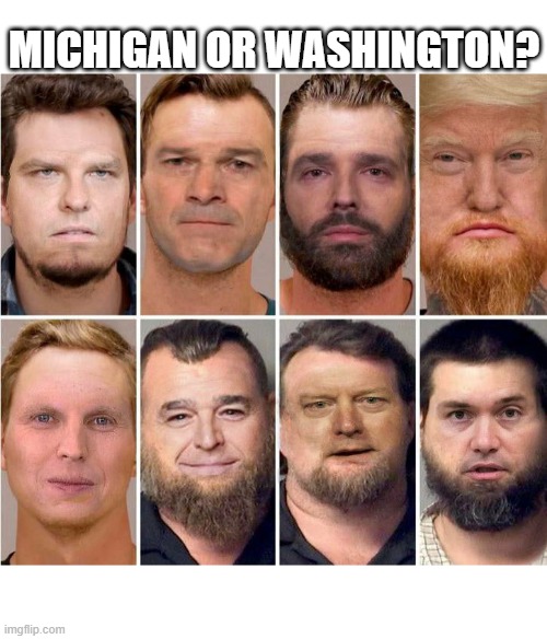 MICHIGAN OR WASHINGTON? | MICHIGAN OR WASHINGTON? | image tagged in trump,terrorist,michigan,hannity,pence,criminals | made w/ Imgflip meme maker