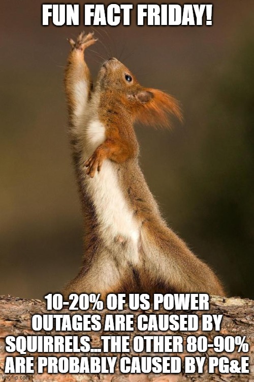 Power Outages | FUN FACT FRIDAY! 10-20% OF US POWER OUTAGES ARE CAUSED BY SQUIRRELS...THE OTHER 80-90% ARE PROBABLY CAUSED BY PG&E | image tagged in dancing squirrel | made w/ Imgflip meme maker