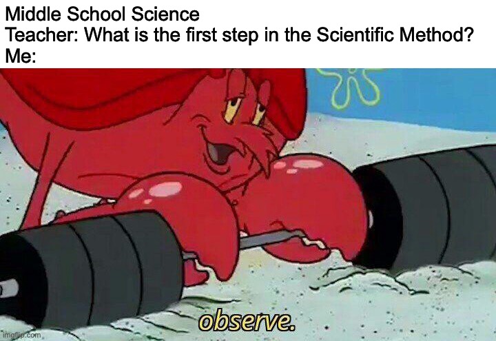 so true | Middle School Science Teacher: What is the first step in the Scientific Method?
Me: | image tagged in observe | made w/ Imgflip meme maker