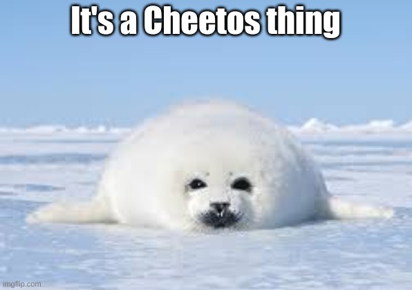 Its a cheetos thing | It's a Cheetos thing | image tagged in seals | made w/ Imgflip meme maker