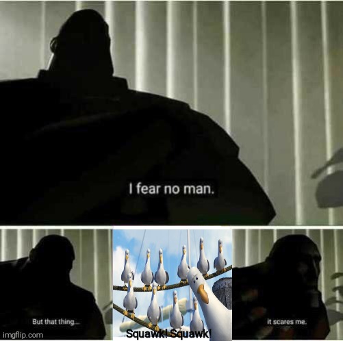 I fear no man | Squawk! Squawk! | image tagged in i fear no man,nemo seagulls mine,what the | made w/ Imgflip meme maker