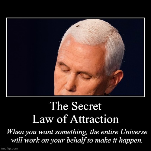 Pence Fly | image tagged in demotivationals,pence,fly,law of attraction,the secret,veep debate | made w/ Imgflip demotivational maker