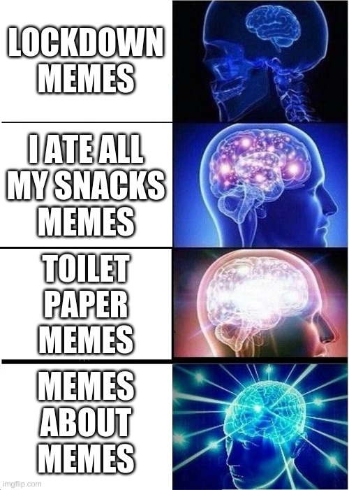 Expanding Brain Meme | LOCKDOWN
MEMES; I ATE ALL
MY SNACKS
MEMES; TOILET
PAPER
MEMES; MEMES
ABOUT
MEMES | image tagged in memes,expanding brain | made w/ Imgflip meme maker