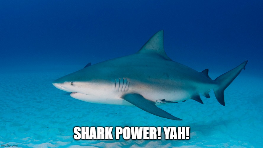 SHARK POWER! YAH! | made w/ Imgflip meme maker