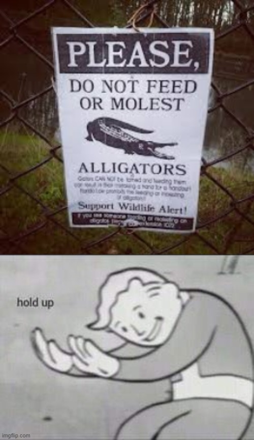 WTF IS WRONG | image tagged in fallout hold up,funny,alligator | made w/ Imgflip meme maker