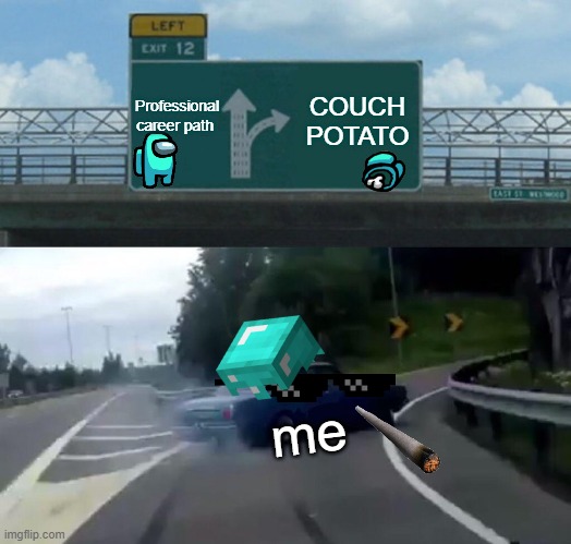 My life haha | Professional career path; COUCH POTATO; me | image tagged in memes,left exit 12 off ramp | made w/ Imgflip meme maker