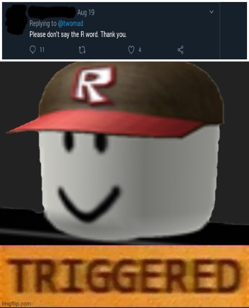 ¿Roblox? | image tagged in roblox triggered | made w/ Imgflip meme maker