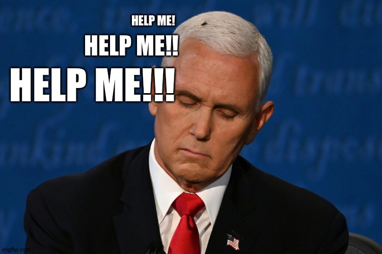 The Fly | HELP ME!! HELP ME! HELP ME!!! | image tagged in pence | made w/ Imgflip meme maker
