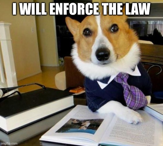 Lawyer Corgi Dog | I WILL ENFORCE THE LAW | image tagged in lawyer corgi dog | made w/ Imgflip meme maker