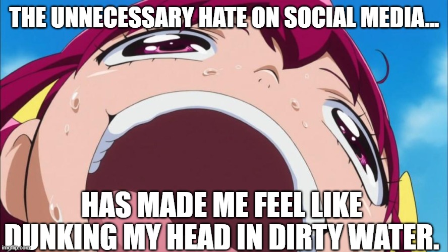 The Hate on Social Media | THE UNNECESSARY HATE ON SOCIAL MEDIA... HAS MADE ME FEEL LIKE DUNKING MY HEAD IN DIRTY WATER. | image tagged in streched head meme,precure,smile precure,memes | made w/ Imgflip meme maker
