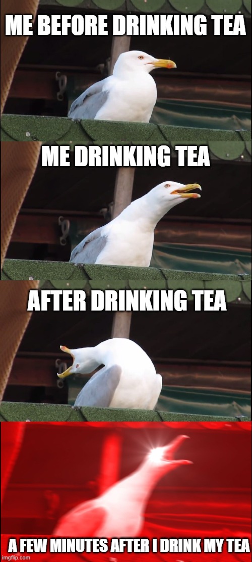 Inhaling Seagull Meme | ME BEFORE DRINKING TEA; ME DRINKING TEA; AFTER DRINKING TEA; A FEW MINUTES AFTER I DRINK MY TEA | image tagged in memes,inhaling seagull | made w/ Imgflip meme maker