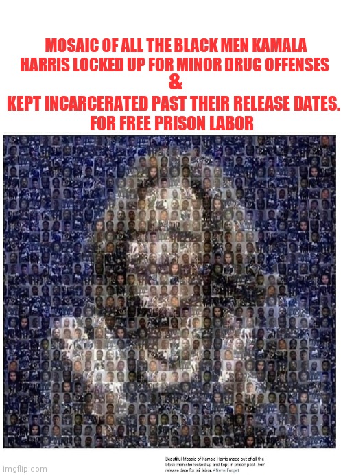 MOSAIC OF ALL THE BLACK MEN KAMALA HARRIS LOCKED UP FOR MINOR DRUG OFFENSES; &; KEPT INCARCERATED PAST THEIR RELEASE DATES.
FOR FREE PRISON LABOR | image tagged in kamala harris | made w/ Imgflip meme maker