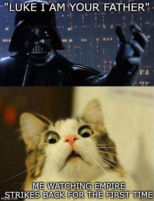 Total Shock | "LUKE I AM YOUR FATHER"; ME WATCHING EMPIRE STRIKES BACK FOR THE FIRST TIME | image tagged in memes,scared cat | made w/ Imgflip meme maker