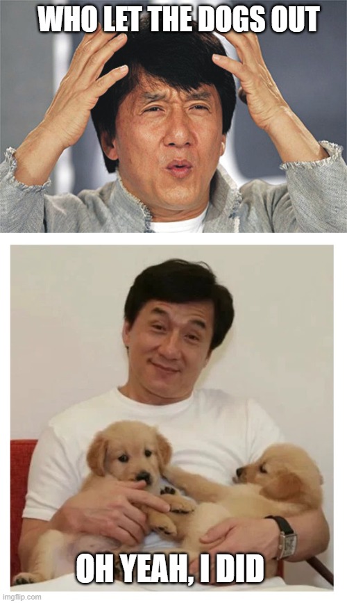 WHO LET THE DOGS OUT; OH YEAH, I DID | image tagged in jackie chan confused,jackie chan wtf,dogs,cute,funny | made w/ Imgflip meme maker