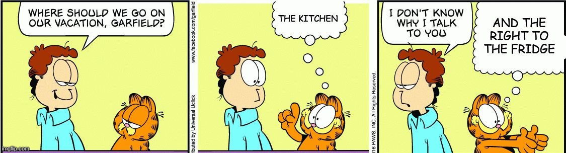 classic Garfield | THE KITCHEN; AND THE RIGHT TO THE FRIDGE | image tagged in garfield comic vacation | made w/ Imgflip meme maker