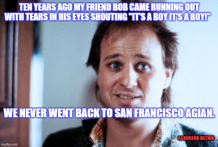 it's a boy | TEN YEARS AGO MY FRIEND BOB CAME RUNNING OUT WITH TEARS IN HIS EYES SHOUTING "IT'S A BOY IT'S A BOY!"; WE NEVER WENT BACK TO SAN FRANCISCO AGIAN. AARDVARK RATNIK | image tagged in funny memes,san francisco | made w/ Imgflip meme maker