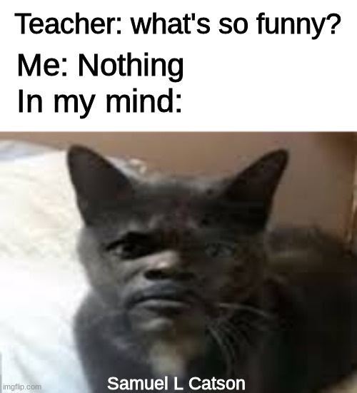 Teacher: what's so funny? Me: Nothing; In my mind:; Samuel L Catson | image tagged in memes,teacher,cat | made w/ Imgflip meme maker
