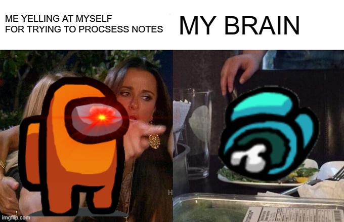 Beutiful | ME YELLING AT MYSELF FOR TRYING TO PROCSESS NOTES; MY BRAIN | image tagged in memes,woman yelling at cat | made w/ Imgflip meme maker