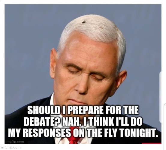 Pence and The Fly | image tagged in pence,mike pence,fly,debate | made w/ Imgflip meme maker