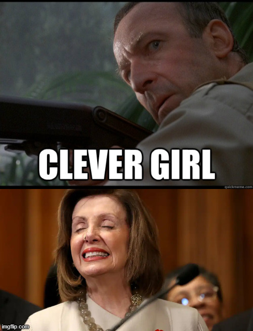 Nancy is a clever girl | image tagged in clever girl | made w/ Imgflip meme maker