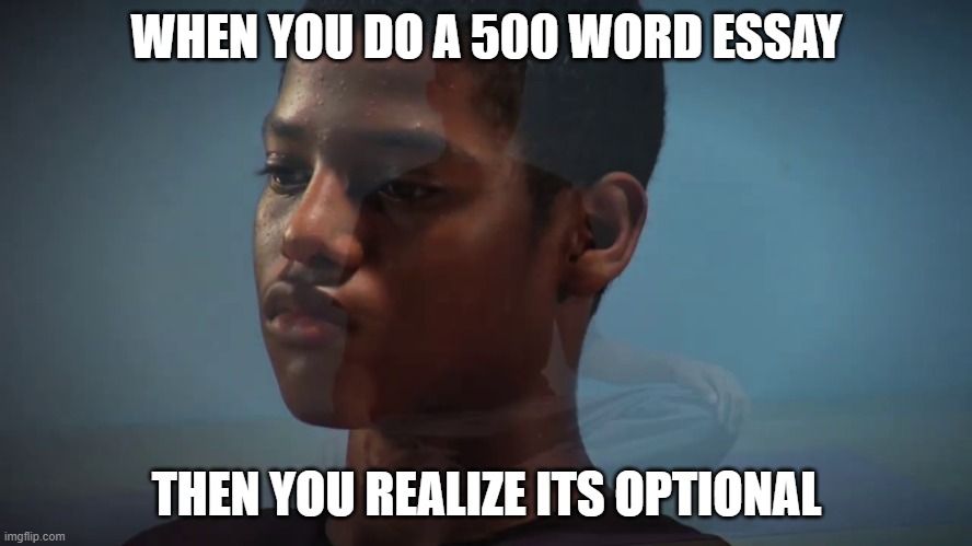F in the chat | WHEN YOU DO A 500 WORD ESSAY; THEN YOU REALIZE ITS OPTIONAL | image tagged in school | made w/ Imgflip meme maker