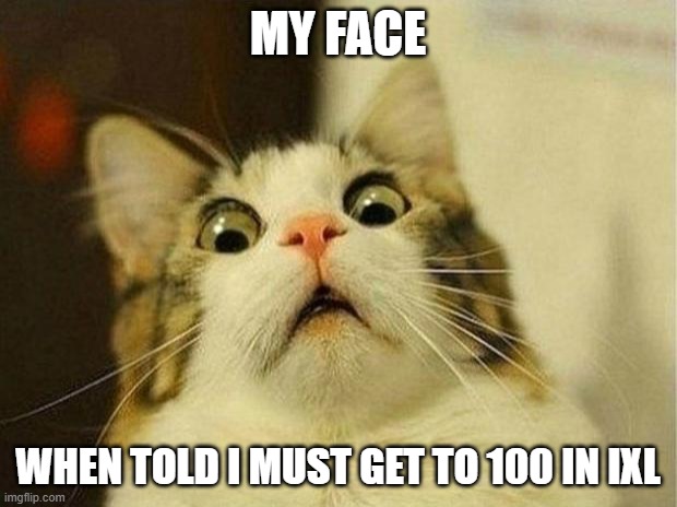 Scared Cat | MY FACE; WHEN TOLD I MUST GET TO 100 IN IXL | image tagged in memes,scared cat | made w/ Imgflip meme maker