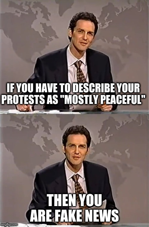 norm | IF YOU HAVE TO DESCRIBE YOUR PROTESTS AS "MOSTLY PEACEFUL"; THEN YOU ARE FAKE NEWS | image tagged in weekend update with norm | made w/ Imgflip meme maker